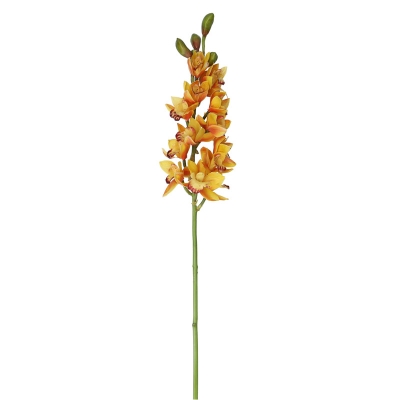 Orquídea Cymbidium Amarilla 15'.