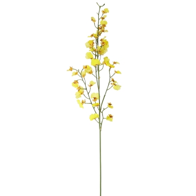 Orquídea Oncidium Amarillo 28'.