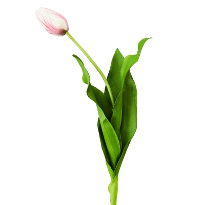 Flor Tulipán Dutch 24.5".