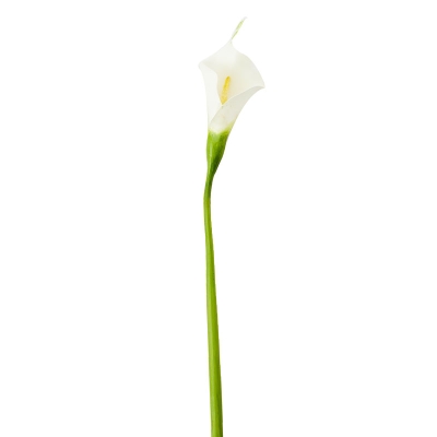 Flor Calla Lilly Blanco 21.5".