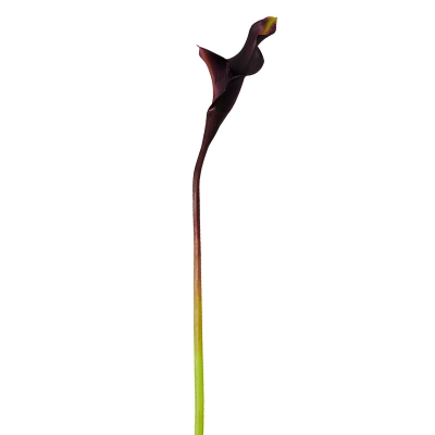 Flor Calla Lilly Marrón 21.5".