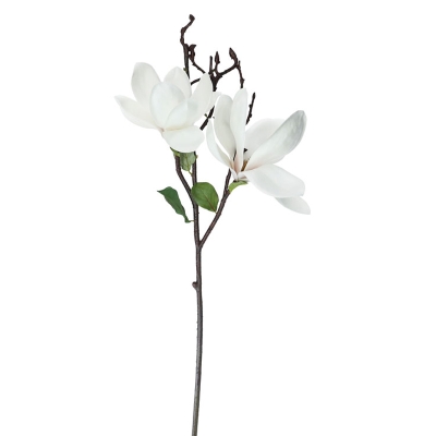 Tallo Magnolia Blanca.
