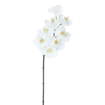 Orquídea Blanca 32'.