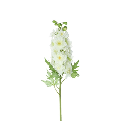 Tallo Delphinium Blanco 24'.