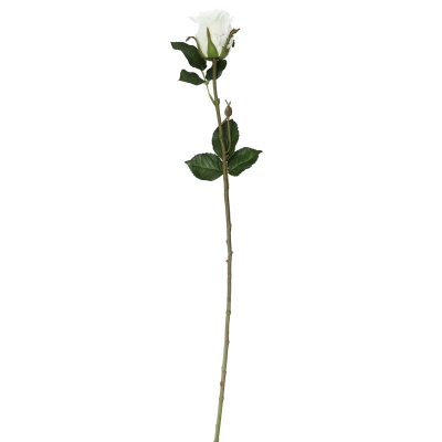 Rosa Blanco 27'.