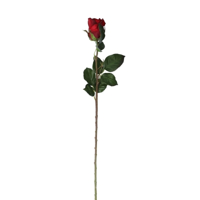 Rosa Roja 27'.