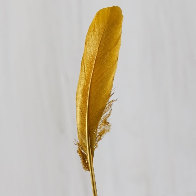 Plumas Doradas 7".