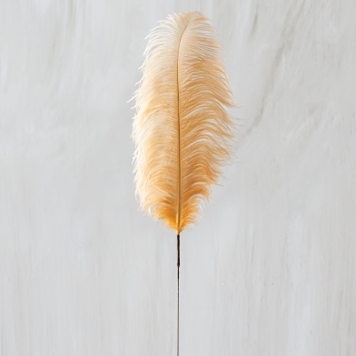 Rama De Plumas 37" x 28" x 30".