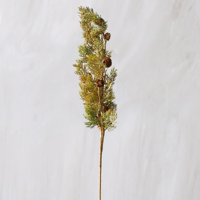 Rama De Pino 30".