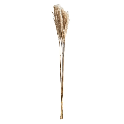 Ramo Silver Grass Juego De 10.