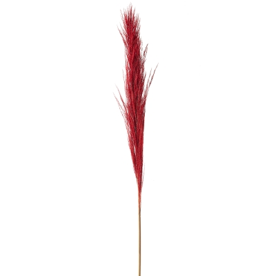 Rama Cortaderia Rojo 65".