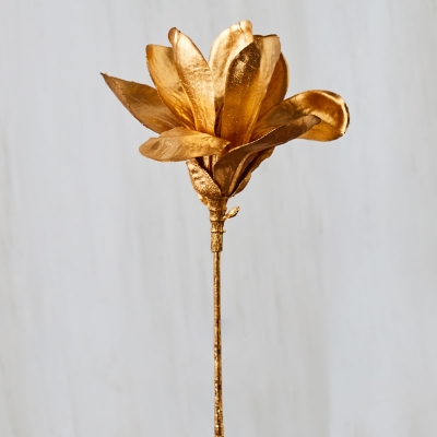 Flor Magnolia Dorado.