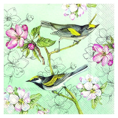 Servilletas De Cóctel De Papel Birds Symphony 10".