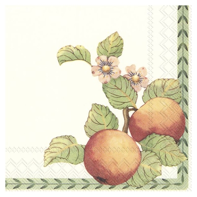 Servilletas De Papel French Garden 12".