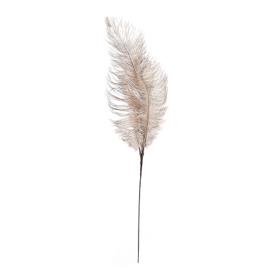 Rama Plumas Champagne 24".