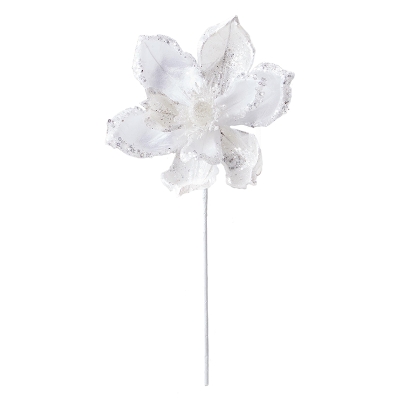 Magnolia Blanco 12".