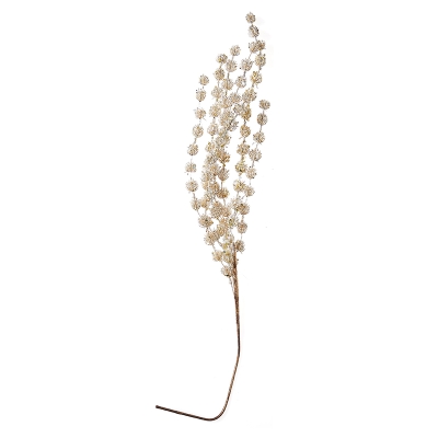 Helecho Champagne 18".