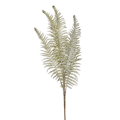 Rama Plata 31".