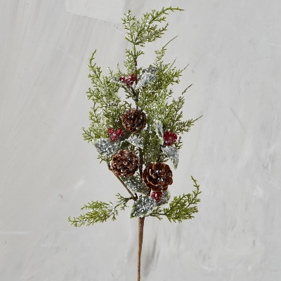 Rama Con Frutos Y Conos 28".