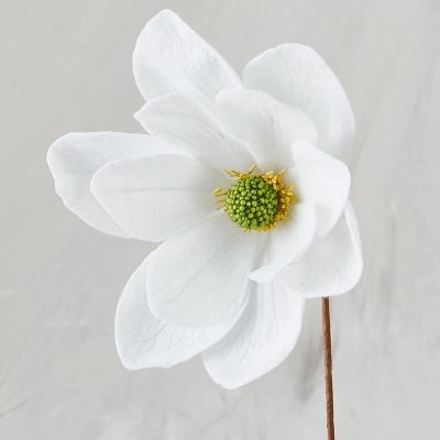 Magnolia Blanco 14".