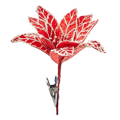 Pascua Rojo Y Blanco.