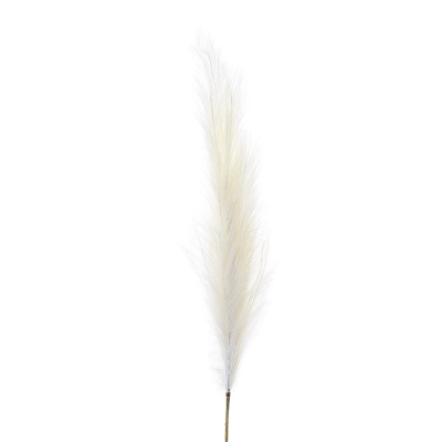 Rama Pampas Ivory 50".