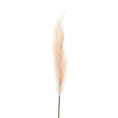 Rama Pampas Crema 50".