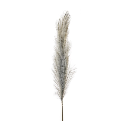 Rama Pampas Gris 50".