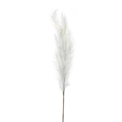 Rama Pampas Ivory 50".