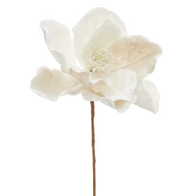 Magnolia Crema 20".