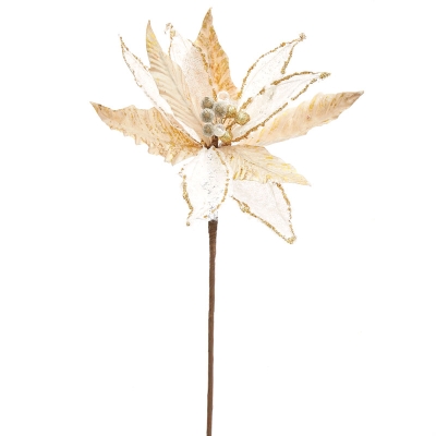 Pascua Dorado 20".