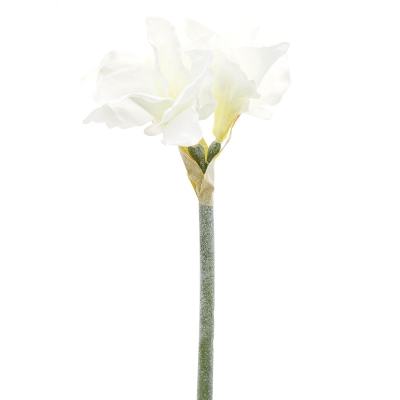 Lirios Blanco 24".