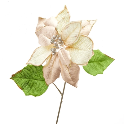 Pascua Rosado 20".
