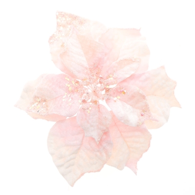 Pascua Rosado 10".