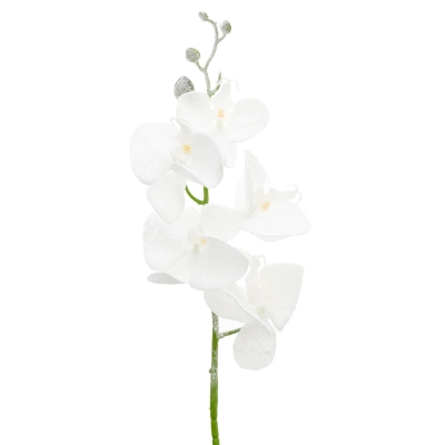 Orquidea Blanco 37".