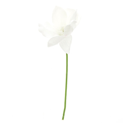 Magnolia Blanco 10".