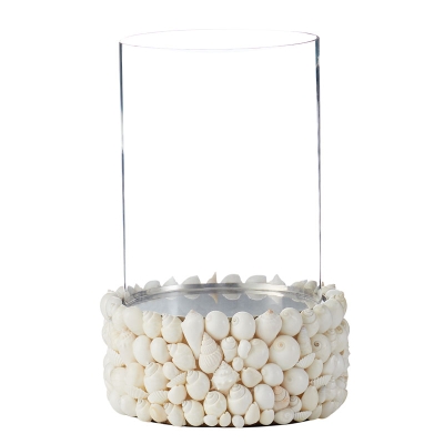 Brisero Caracol Blanco.