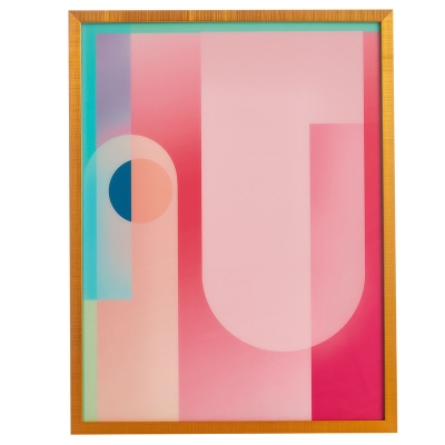 Cuadro Citrus Rosado 20" x 25".