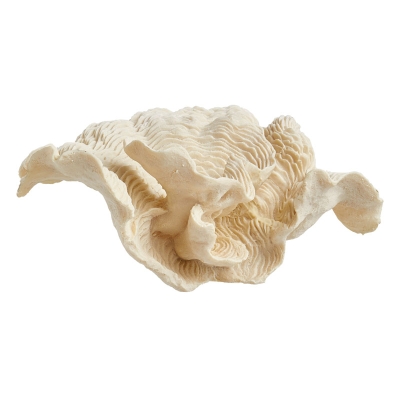 Coral Decorativo Crema.