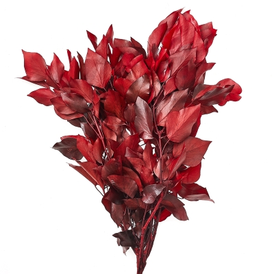 Ramo Hedera Rojo.