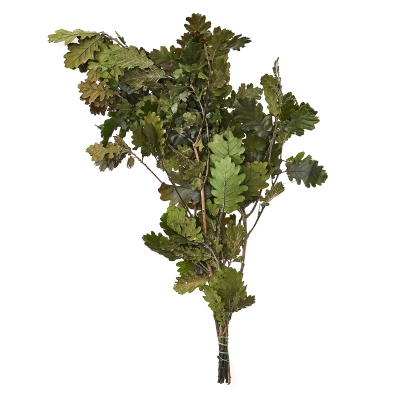 Ramo Mini Oak Verde.