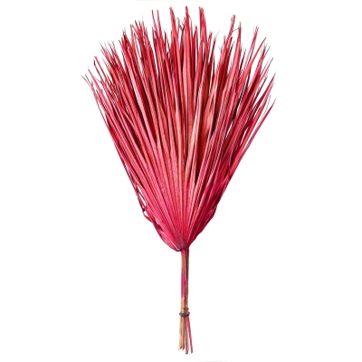 Ramo Chamerops Rojo Juego De 10.